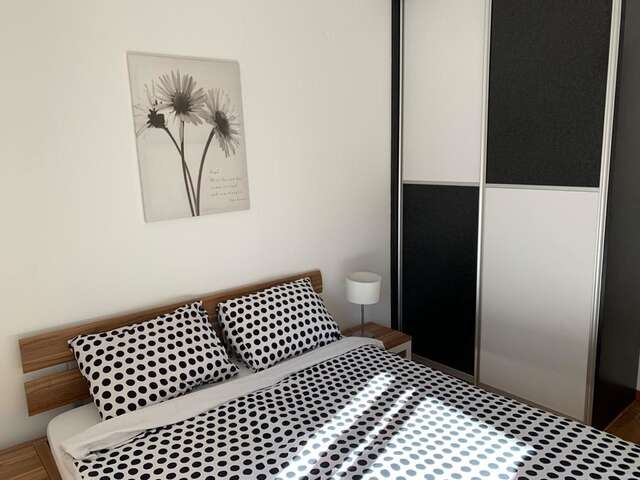 Апартаменты Apartman New City Подгорица-4